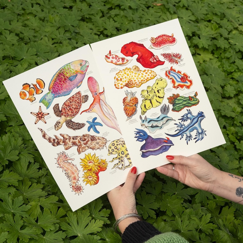 May include: Two-page print featuring colorful illustrations of various sea creatures, including fish, turtles, and sea slugs. The artwork showcases a variety of marine life with detailed depictions and vibrant colors. The print is held against a backdrop of green foliage.