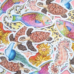 Ensemble d'autocollants récifs coralliens - Pack Grande barrière de corail - Stickers éducatifs vie marine - Ensemble scientifique - Stickers nature - Animal pieuvre tortue de mer