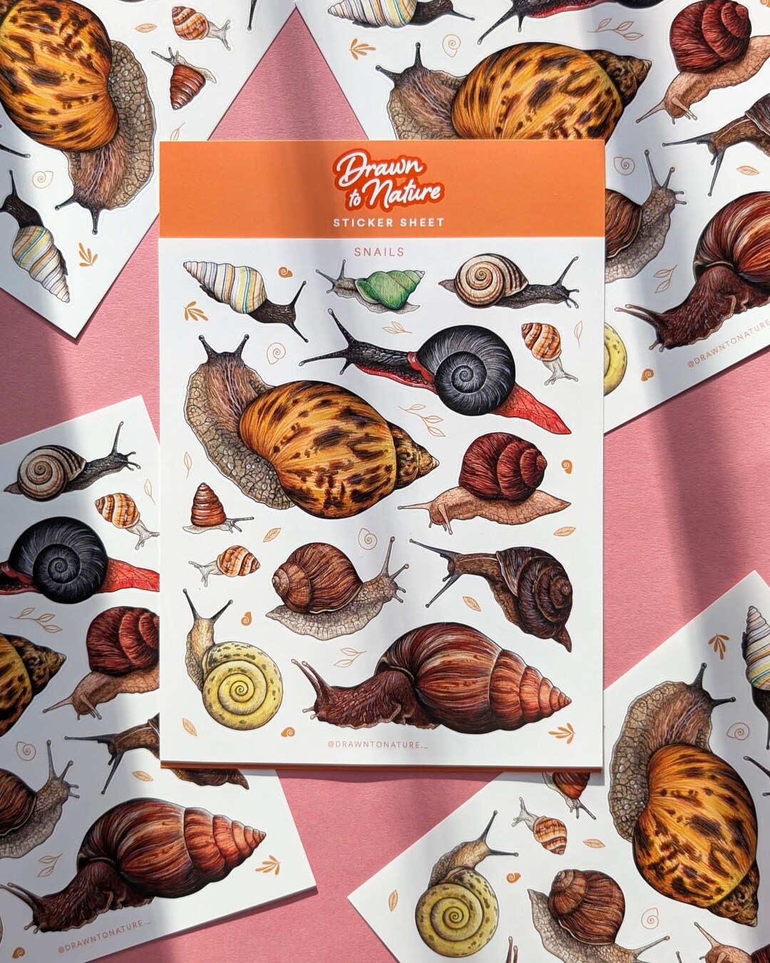 Snails Sticker Sheet - Watercolor Gastropods, Nature Scrapbooking ...