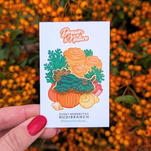 May include: A pin featuring a Dusky Nembrotha nudibranch design, with a teal and green sea slug, orange coral, and a white background. The pin has the text "Drawn to Nature" and "Dusky Nembrotha Nudibranch @drawntonature_."