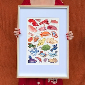 May include: A framed print featuring a colorful illustration of various sea slugs. The artwork showcases a variety of shapes, sizes, and colors, including red, orange, blue, and yellow. The print is displayed in a light-colored wooden frame.