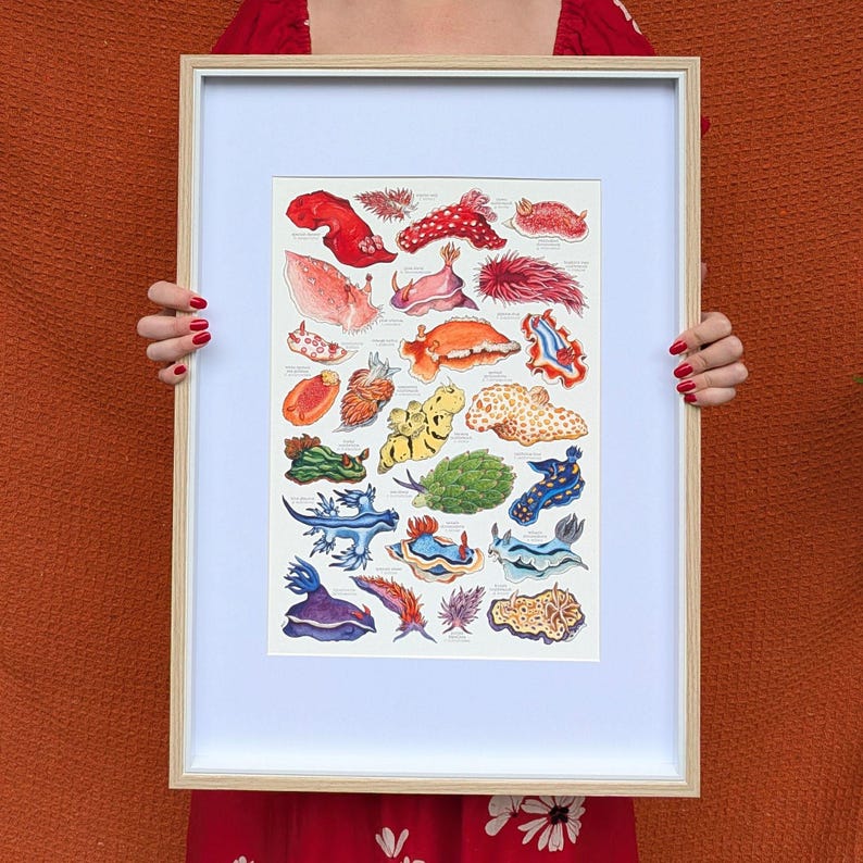May include: A framed print featuring a colorful illustration of various sea slugs. The artwork showcases a variety of shapes, sizes, and colors, including red, orange, blue, and yellow. The print is displayed in a light-colored wooden frame.
