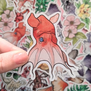 Vampire Squid Sticker - Cephalopod Decorative Sticker - Ocean Sea Creature Laptop Stickers - Octonauts Sticker - Nature Vinyl Sticker Set