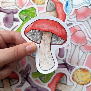 Sticker champignon rouge - Stickers champignons arc-en-ciel - Stickers cottagecore - sticker champignon vénéneux - Scrapbooking champignons - Agenda Nature