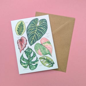 Tropical Leaves Greeting Card - Monstera Leaf Card - Watercolour Nature Cards - Leaf Greetings Card - Botanical Art - Floral Stationery