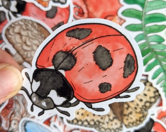 Watercolor Ladybug Sticker – Vinyl Laptop Decal