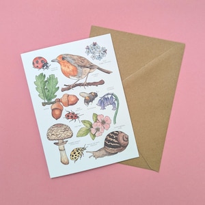 British Wildlife Card - Nature Greetings Card - Robin Card - Science Blank Card - Card Set - Nature Lover Card - Fungi Insect Snail Art