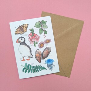 Carte de la nature de Cornwall - carte de voeux de la faune - carte de la nature britannique - carte vierge nature - jeu de cartes de la faune - macareux moine - art botanique