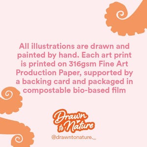 May include: A light pink background with orange octopus tentacles in the corners. Text in pink states that illustrations are hand-drawn and printed on fine art paper, supported by a backing card and packaged in compostable film. The logo "Drawn to Nature" is also present.