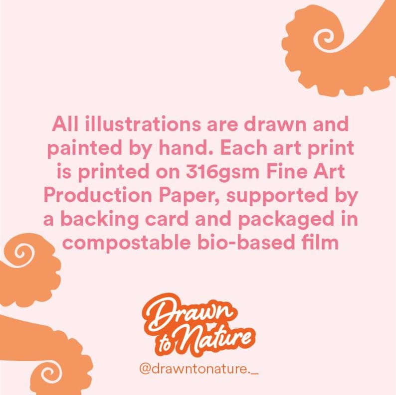 May include: A light pink background with orange octopus tentacles in the corners. Text in pink states that illustrations are hand-drawn and printed on fine art paper, supported by a backing card and packaged in compostable film. The logo "Drawn to Nature" is also present.