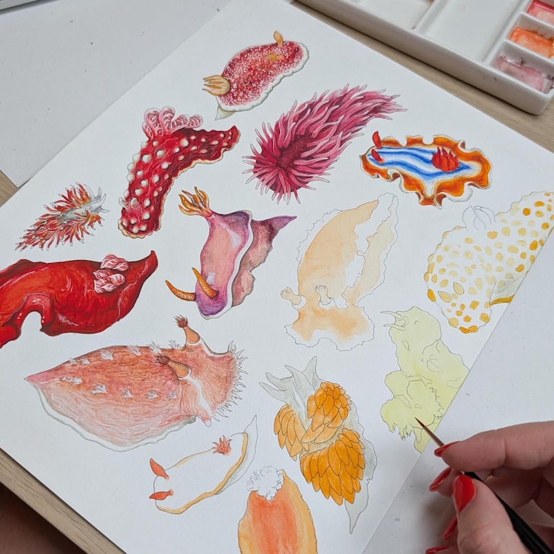 May include: Watercolor painting of various sea slugs in vibrant colors, including red, pink, orange, and yellow. The artwork features detailed illustrations of the marine creatures on a white paper surface. A hand with a paintbrush is visible, suggesting the painting is in progress.
