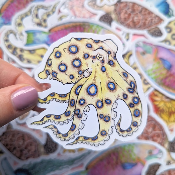 Octopus Sticker - Blue Ringed Octopus Sticker - Cephalopod Stickers - Coral Reef - Great Barrier Reef - Educational Science Sticker Set