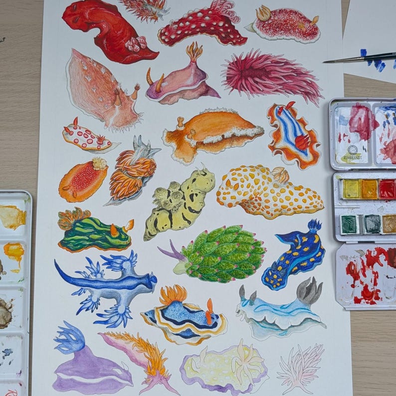 May include: Watercolor painting of various sea slugs in vibrant colors. The artwork features detailed illustrations of different species, showcasing a range of shapes, patterns, and hues, including red, orange, yellow, green, blue, and purple. The painting is on white paper.