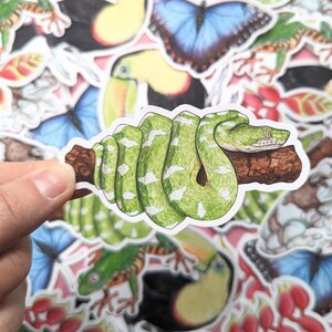 May include: A green and white snake sticker with a white background. The snake is curled around a branch and has a white stripe down its back. The sticker is part of a collection of animal stickers.