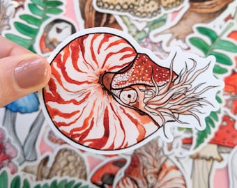 Nautilus Sticker: Watercolor Sea Creature Vinyl Decal