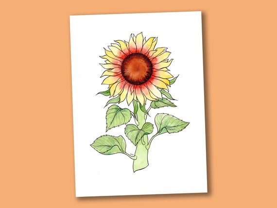 Sunflower Art Print A4 - Sunflowers Illustration - Botanical Boho Art - Flower Art - Summer Home Decor - Gifts for Plant Lovers Gardeners