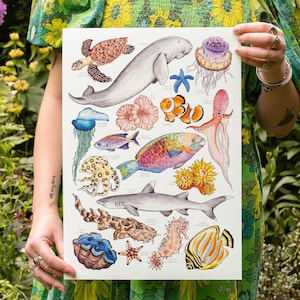 Barrier Reef Watercolor Print - Australia Poster - Tropical Ocean Wall Art