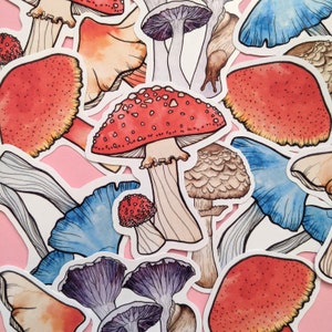 Pack d'autocollants champignons - ensemble d'autocollants fée champignon - autocollants journal forêt boisé - album nature - accessoires automne automne