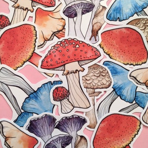 Mushroom Stickers Pack - Fairy Toadstool Sticker Set - Woodland Forest Journal Stickers - Nature Scrapbook - Autumn Fall Planner Accessories