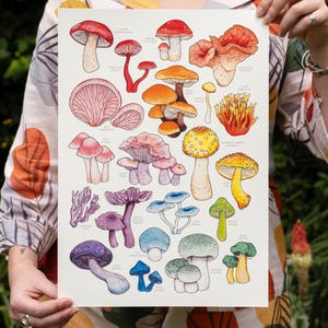 Rainbow Mushroom Watercolor Print: Botanical Fungi Art