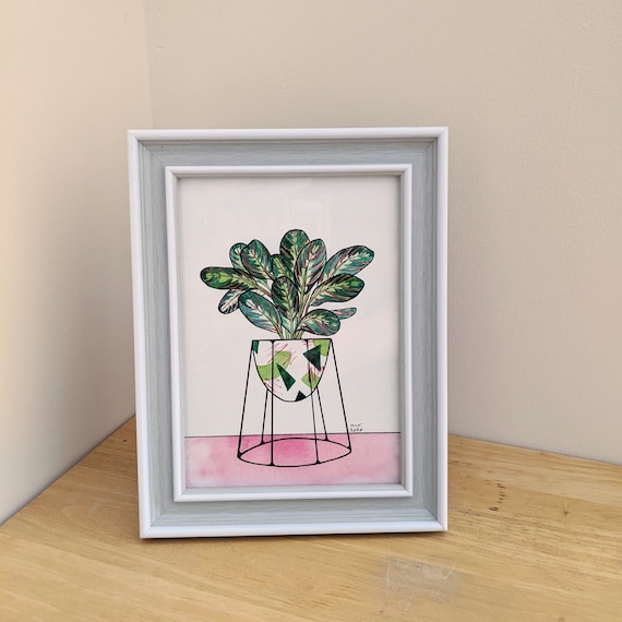 Maranta Watercolor Painting, Prayer Plant, Original Watercolor Illustration, House Plant Illustration, Framed Original Painting