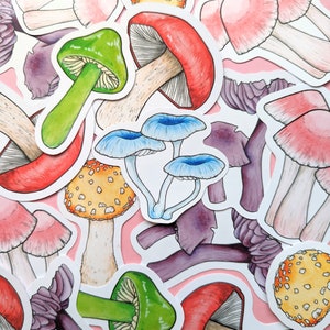Pack d'autocollants champignons arc-en-ciel - autocollants champignons - autocollant champignon vénéneux - autocollants éducatifs - ensemble décoratif nature - ensemble d'autocollants scientifiques