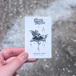Manta Ray Enamel Pin: Silver Hard Enamel, Sea Creature Gift