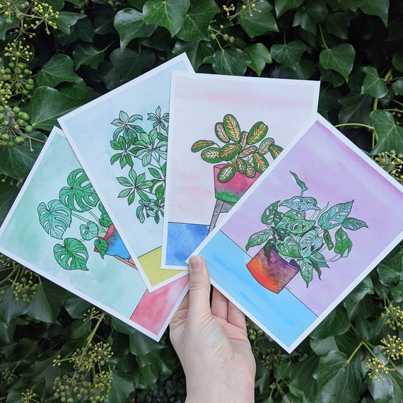 Set of 4 Houseplant Prints - Swiss Cheese Plant - Monstera Adansonii Art - Tropical Illustration - Colorful Decor - Leaf Wall Art