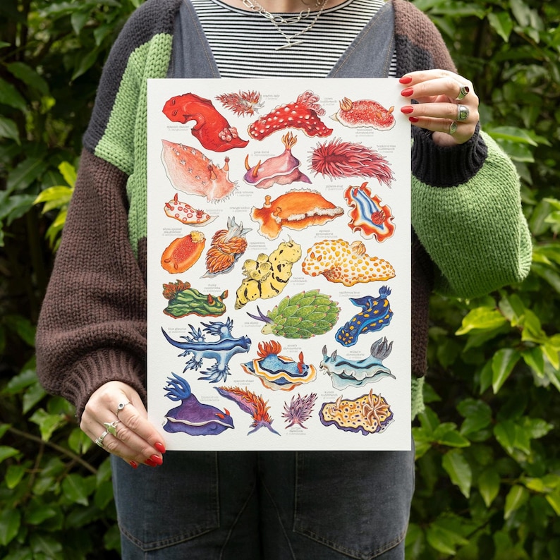 May include: A print featuring a colorful illustration of various sea slugs. The artwork showcases a variety of shapes, sizes, and vibrant colors, including red, orange, yellow, blue, and purple. The print is held by a person in front of a green leafy background.