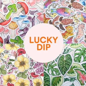 Stickers Lucky Dip - 10 - Stickers nature aléatoire - Pack d'autocollants de la faune - Journalisation - Champignon fleur pieuvre coccinelle macareux escargot