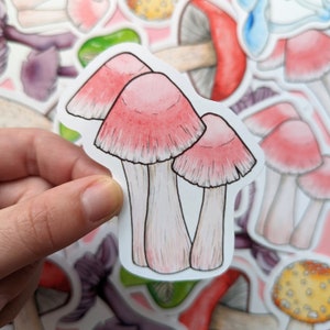 Sticker champignon rose - champignon Rosy Bonnet - Scrapbooking champignons - Stickers champignons arc-en-ciel - Cottagecore - sticker champignon vénéneux - Agenda Nature