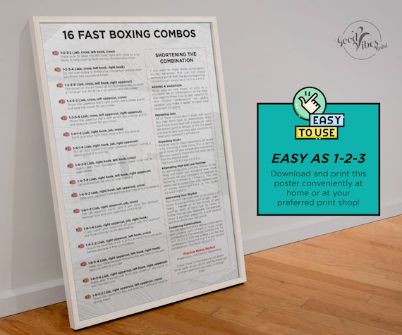 Professional Boxing Combinations