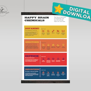 Happy Brain Chemicals Info Graphics Downloadable Poster. Digital, Ready to Print, Trendy, Aesthetic, Poster