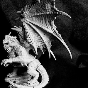 May include: A detailed, white, plastic dragon figurine with a spread wingspan. The dragon has a textured, scaly body and a long, curled tail.