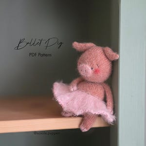 Op de afbeelding: Een gebreid roze varken met een roze tutu zit op een houten plank. De tekst "Ballet Pig PDF Pattern" staat boven het varken. De Instagram-handle @sosole.puppen staat eronder.