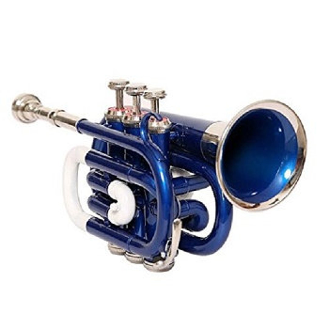 Brass mini trompette avec support et boîtier mini instrument de musique mini  trompette mini modèle de maison de poupée