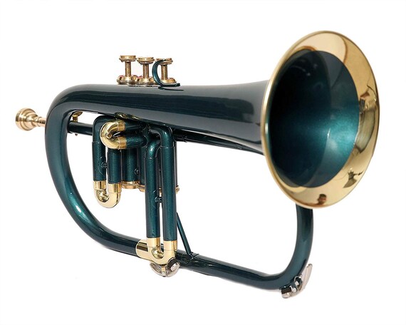 SALE BRAND NEW BRASS Bb FLUGEL HORN+FREE CASE+MOUTHIPICE+FAST SHIPPING