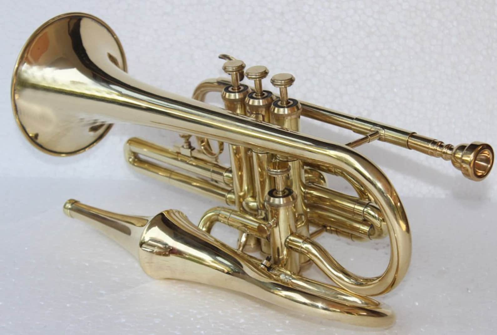 Bb Flat Brass Finish Echo With Free Case Box & Etsy