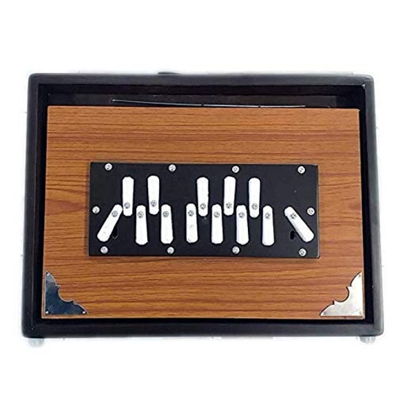 Best Shruti Box SURPETI Made of Teak Wood SRUTI Box With Free Etsy