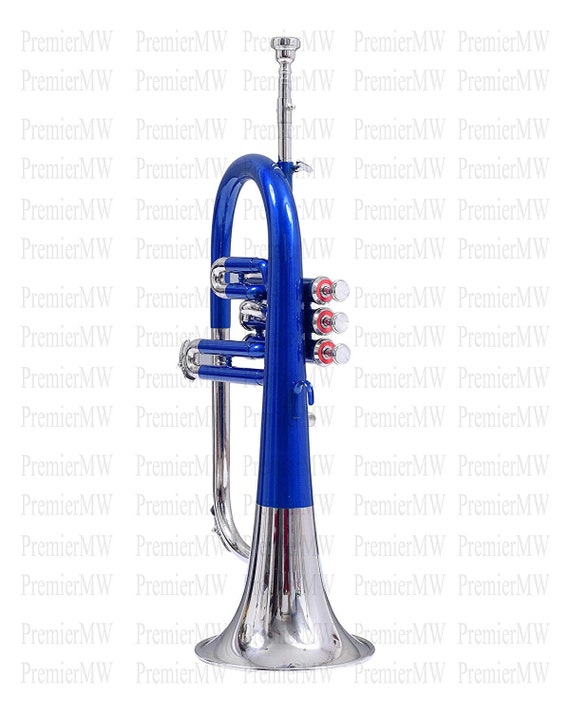 Flugel Horn 3 Valve, Bb/f blue Nickel -  Hong Kong
