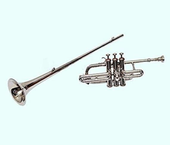 Sai Musical Flat Bb Flag coronation herald Trumpet Brass Case mp