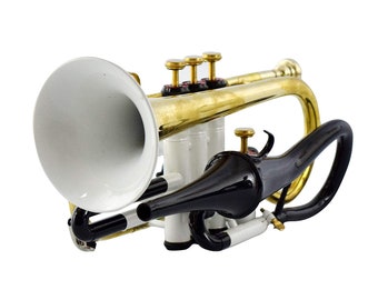 CORNET 4 Valve Brass Echo Cornet Brass Finish W/Case WHITE