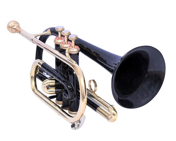 Pocket cornet 2024 for sale