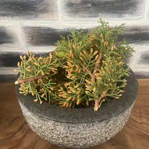 California Juniper Bundle Juniperus Californica 4-6 Stems 6oz Wild foraged in the Mojave Desert Mountains image 5