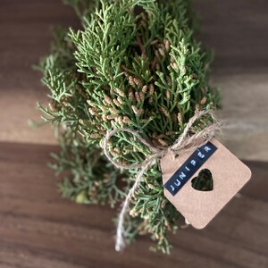 California Juniper Bundle Juniperus Californica 4-6 Stems 6oz Wild foraged in the Mojave Desert Mountains image 3