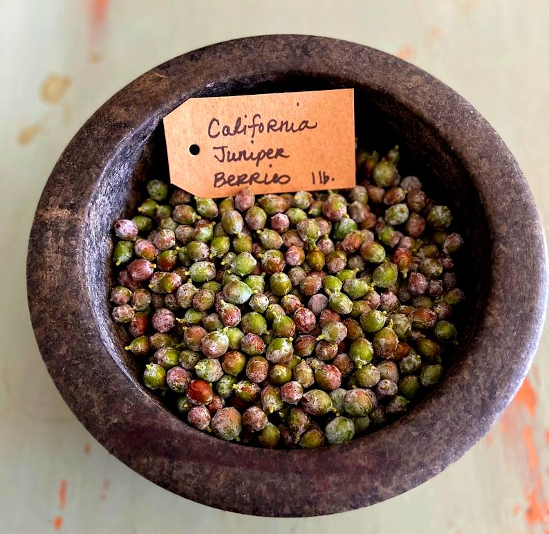 15 libras de bayas de enebro de California frescas y silvestres recolectadas para ginebra, manualidades y remedios caseros