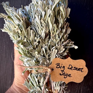 8 oz Fresh Cut Organic Big Desert Sage Bundle, Hang in shower: Wild Foraged Artemisia Tridentata from California Mountains