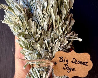 8 oz Fresh Cut Organic Big Desert Sage Bundle, Hang in shower: Wild Foraged Artemisia Tridentata from California Mountains