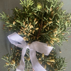 California Juniper Bundle Juniperus Californica 4-6 Stems 6oz Wild foraged in the Mojave Desert Mountains image 2