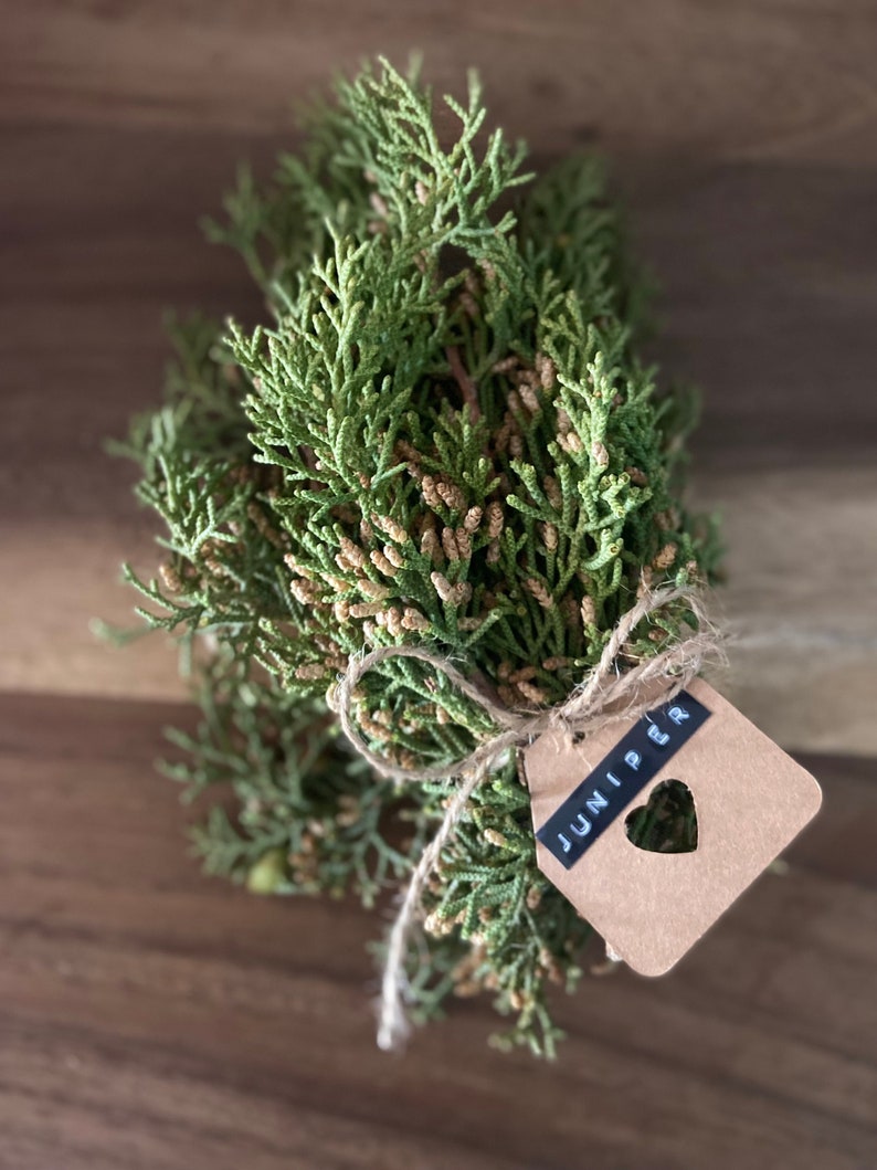 California Juniper Bundle Juniperus Californica 4-6 Stems 6oz Wild foraged in the Mojave Desert Mountains image 3